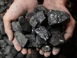 Charcoal Analysis