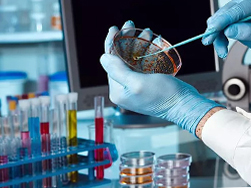 Microbiological Analysis