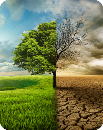 Enviromental